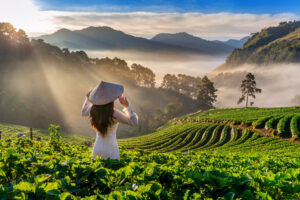 asian woman wearing vietnam culture traditional strawberry garden doi ang khang chiang mai thailand