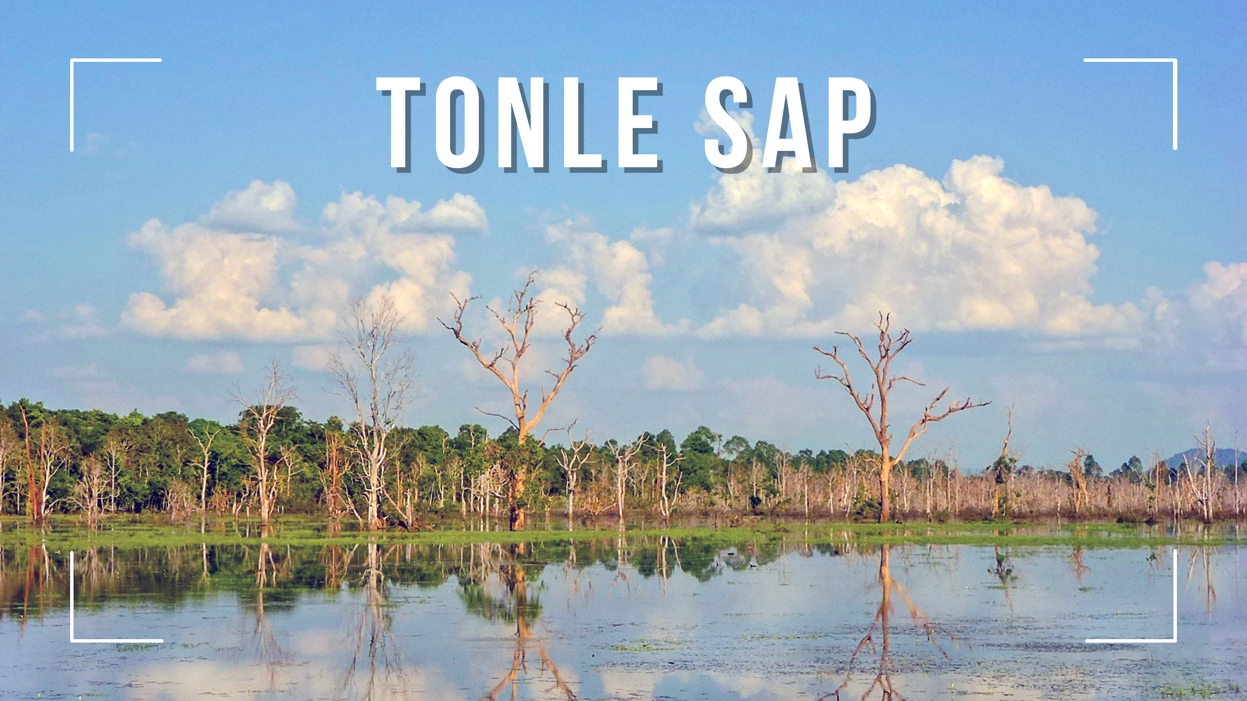 tonle sap